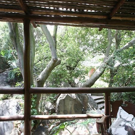 Little Forest Guest House Johannesburgo Exterior foto