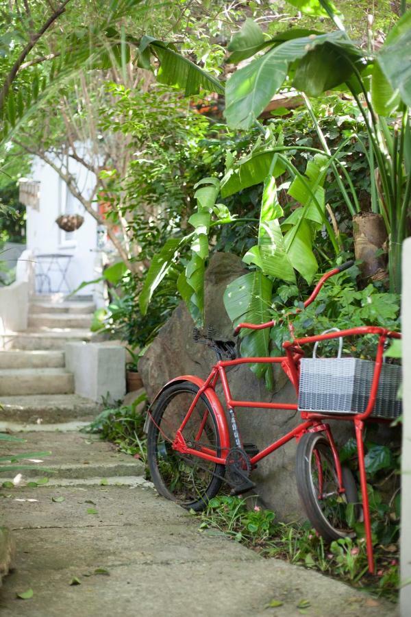 Little Forest Guest House Johannesburgo Exterior foto